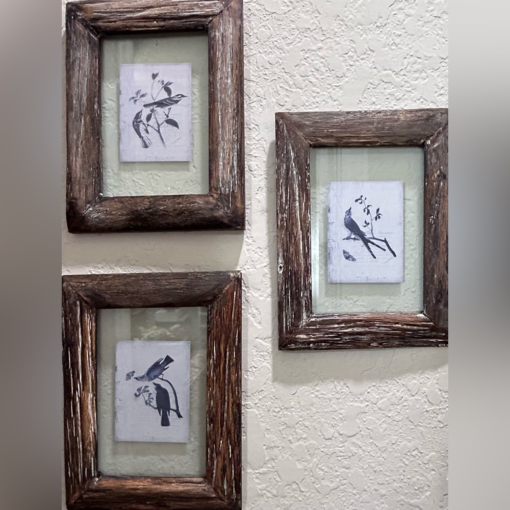 3 Audubon Octavo Birds of America Framed prints —Rustic Wooden Frames